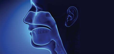 Ear, Nose & Throat (Otolaryngology) .